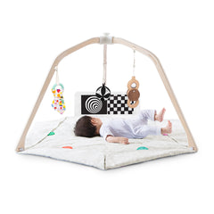 The Play Gym
