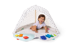 The Play Gym