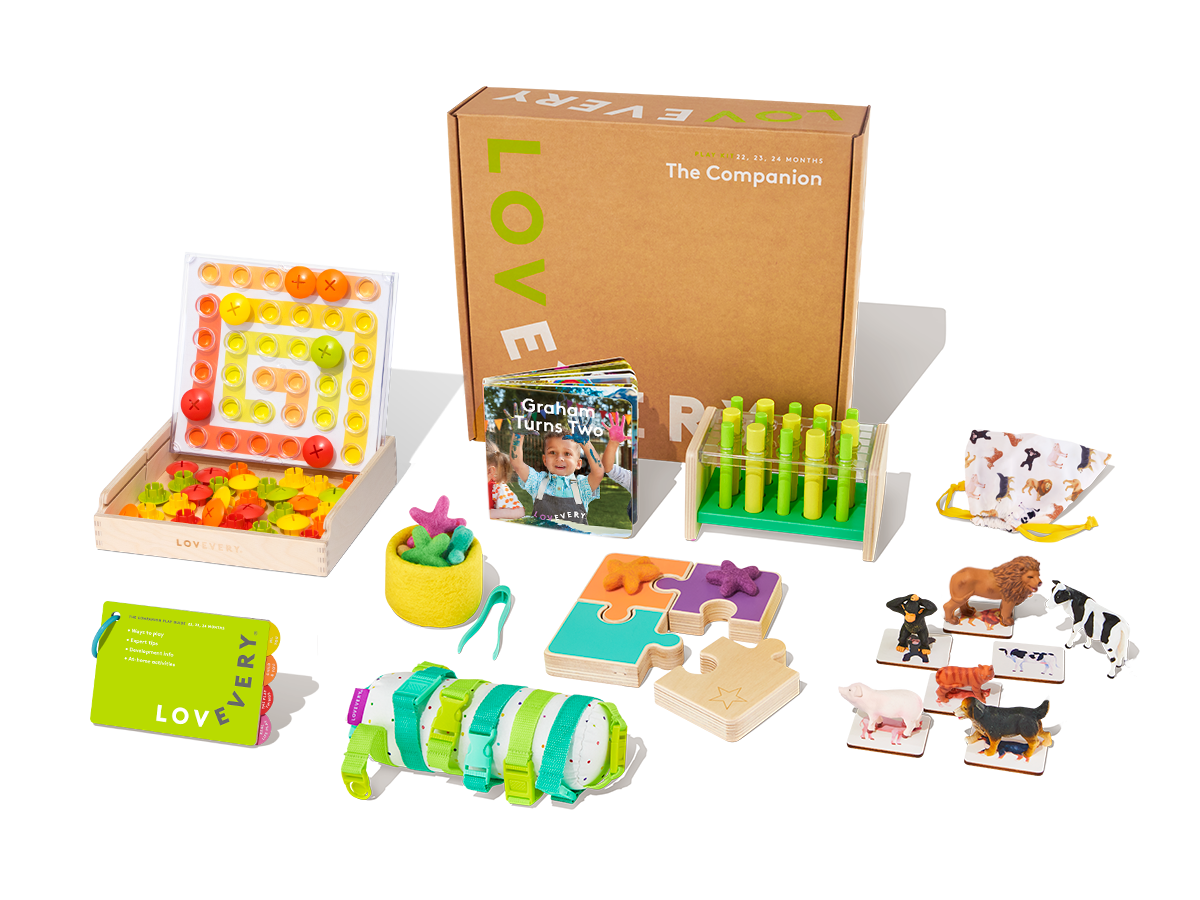The Companion Play Kit