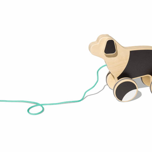 The Pull Pup